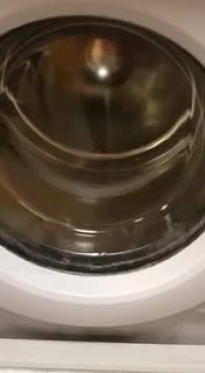 Wanneer je een smerig biertje krijgt van een maat, even wassen.