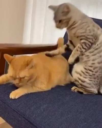 One little bite