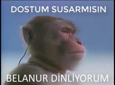 kaldırıldığı için tekrar yükledim