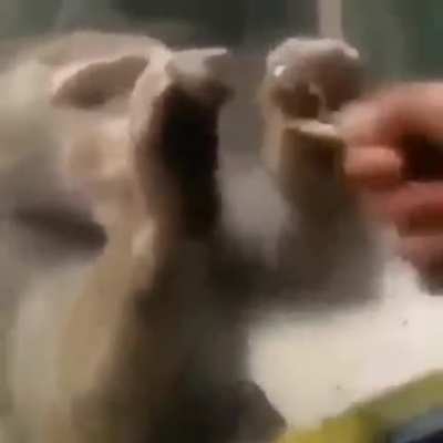 NOOOOOOOO