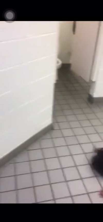 When I catch the nigga that sent me a job application in the chat