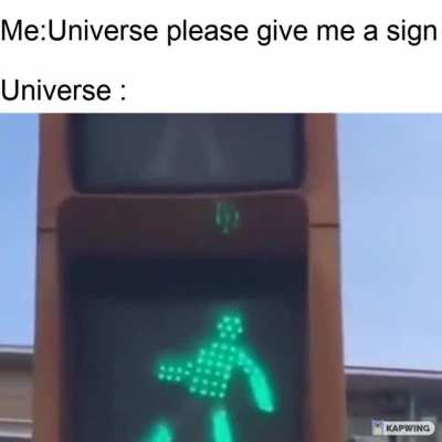 the perverted universe