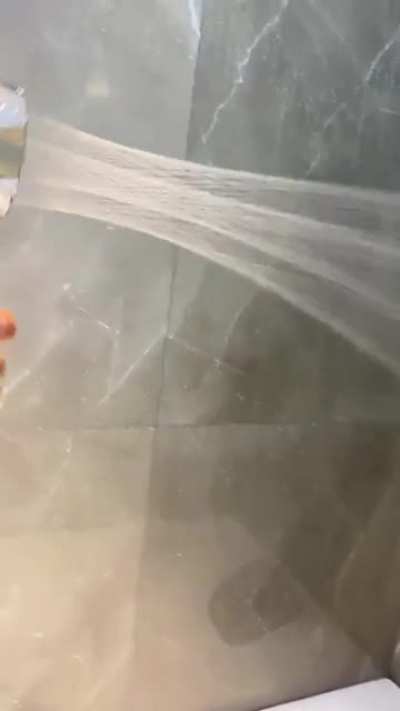 Propeller Driven Shower Head