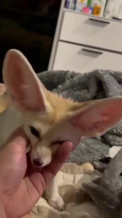 Fen