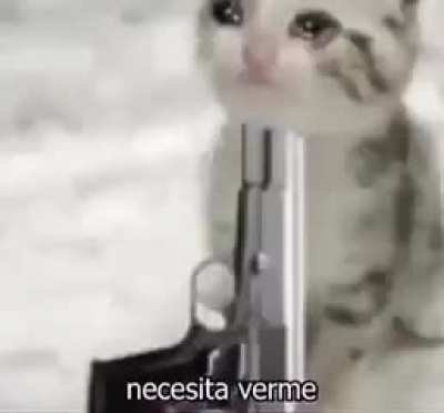 s_a_d