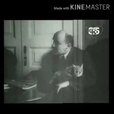 Hey internet, does anybidy got a high res, watermark free video of lenin and his kat?? I only got this gif and i rlly liked it. Anything is worth sharing!