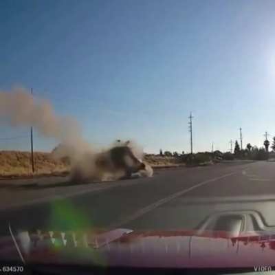 I hope they were ok..