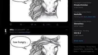 borse