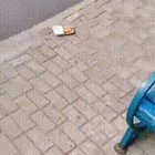 Kind stranger gives stray dog Chicken McNuggets