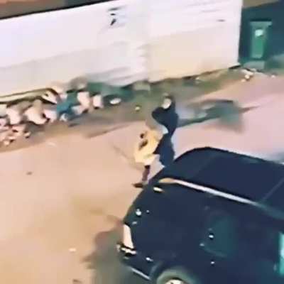 You shouldn't take ownership of street cats 
