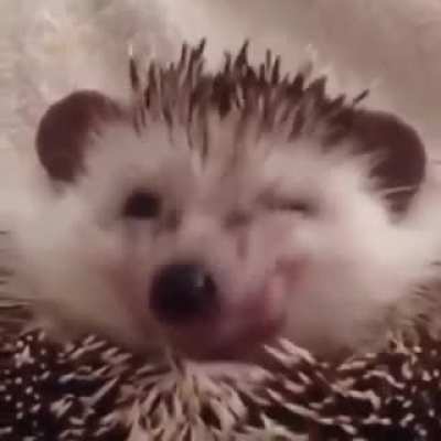 😠🍞😊
