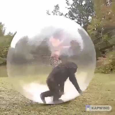 Mokeball