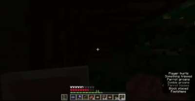 Minecraft is a horror game