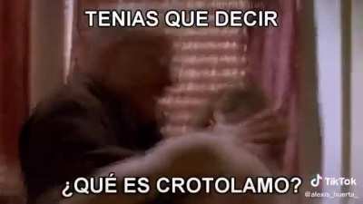 #17