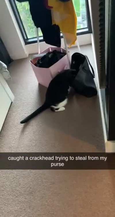 can’t trust anyone