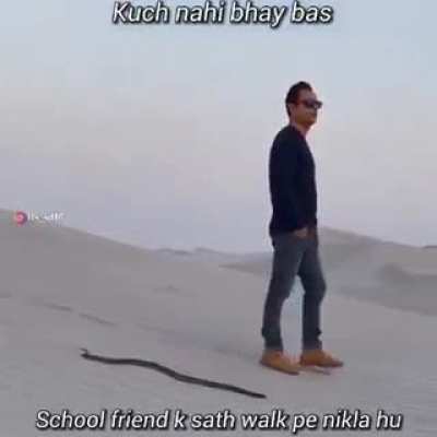 Dard
