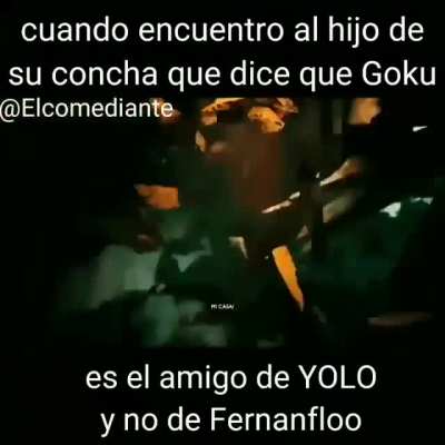 xd