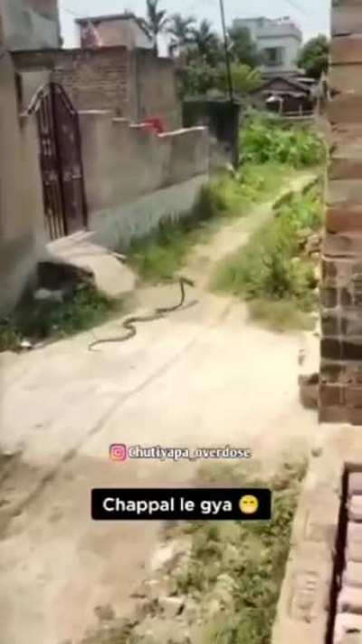 thief