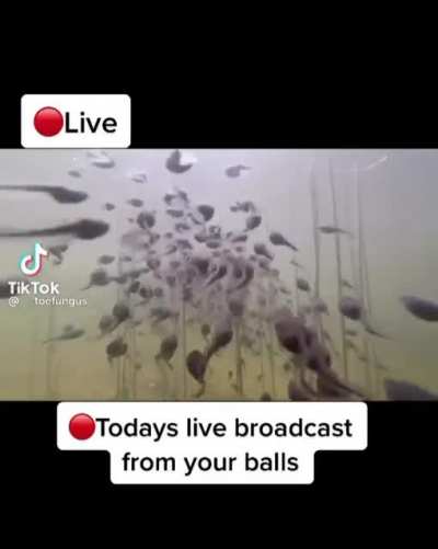 Balls