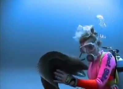 A moray eel and diver who have been friends for years