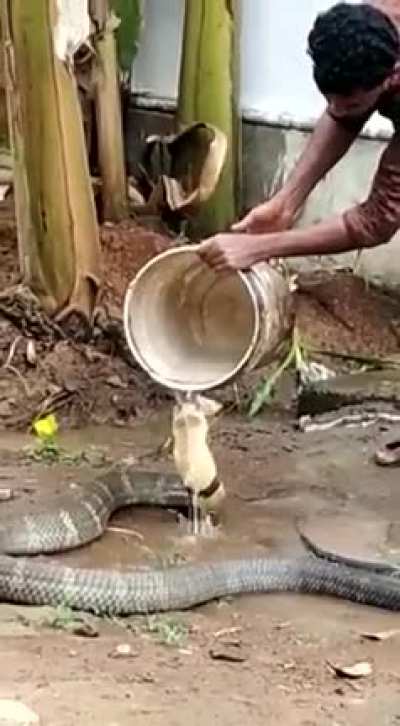 Does this count?
