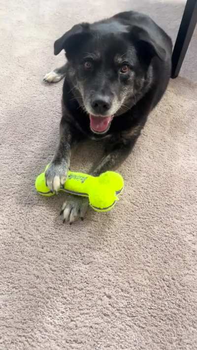 she’ll bring her toys over to me, but she won’t actually give them to me