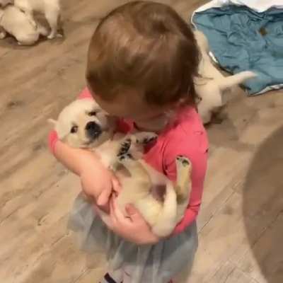 The Tiniest of the Tiniest!!! Cutie Pies😍