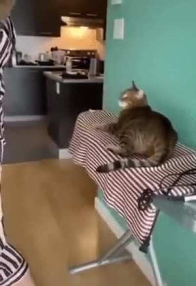 Bite