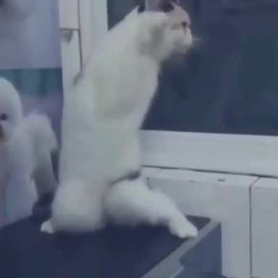 me_irl