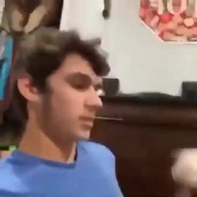 Perro pajero