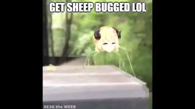 Watame sheep bugs you lol
