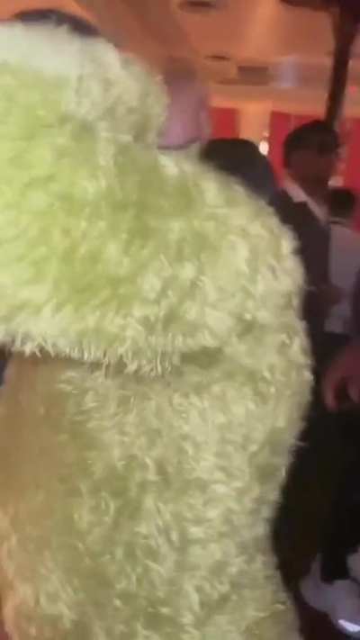 Oscar the grouch