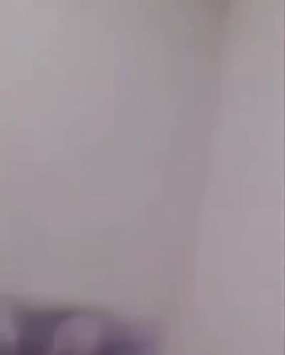 Meow is totally mesmerized