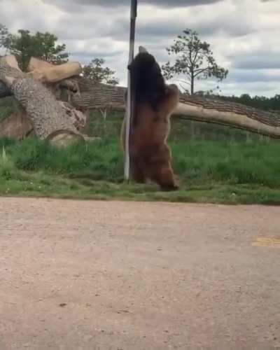 that itch has been bothering me for hours