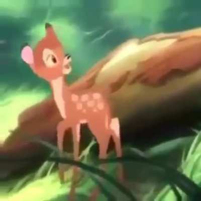 Poor Bambi