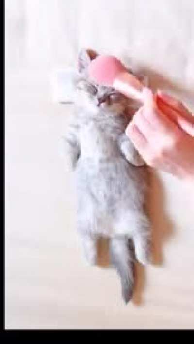 I like to go to the spa...