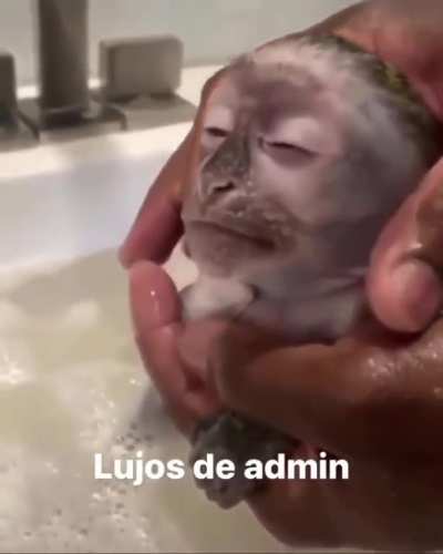 🥵🐒...