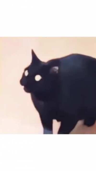 Tap tap