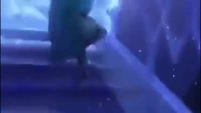 The song Frozen STOLE