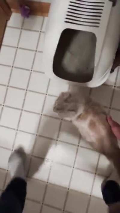 Go