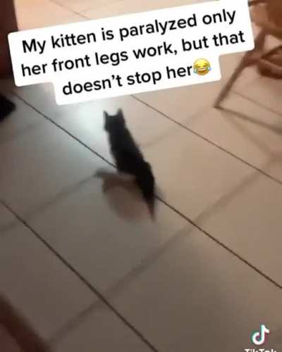Fast as fluff
