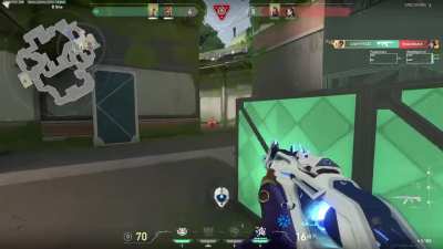 Gekko 4k