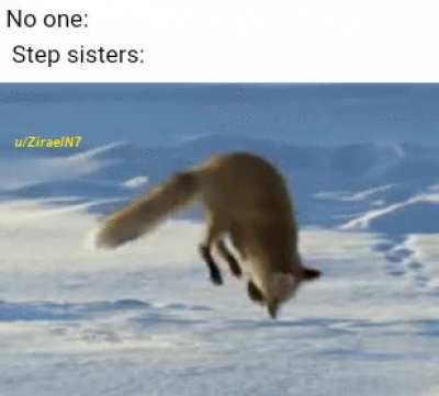 Help me step bro!