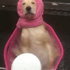 Spa Day! 😂