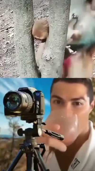 discovery channel