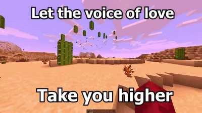 Video source in description