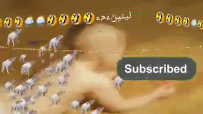 Harran virus daing light 😭😭😭مي<wbr>نيميم<wbr>سدسدس<wbr>دسظسظ<wbr>سظءظ؟<wbr>؟؟؟؟؟<wbr>؟؟؟💑💑<wbr>💑💑عصع<wbr>ثمبخر<wbr>هوقةى<wbr>ؤكصنث<wbr>ب
