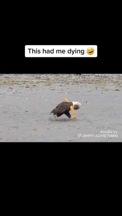Freedom Birb