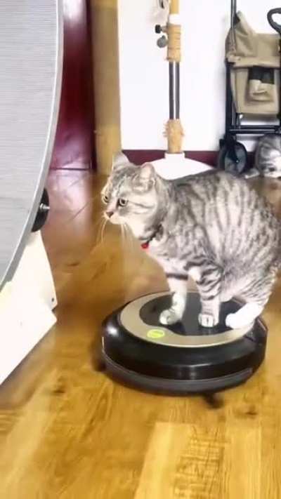 Vacuum!