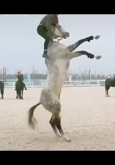 Хоба!